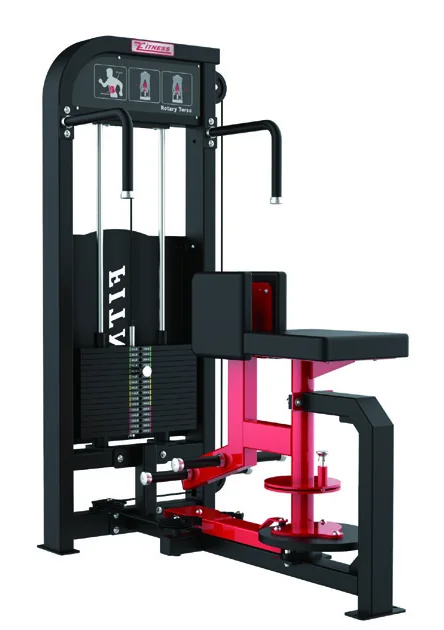 Скручивание торса TZ Fitness (Tianzhan) GC-5003