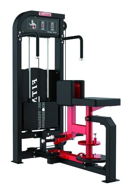 Скручивание торса TZ Fitness (Tianzhan) GC-5003