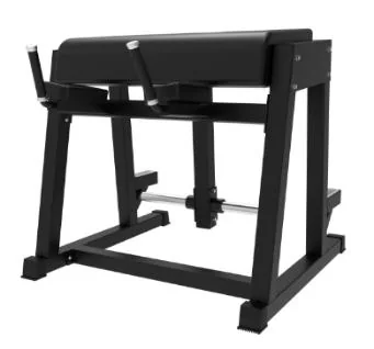 Гиперэкстензия TZ Fitness (Tianzhan) GC-5077