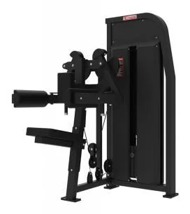 Delt Machine TZ Fitness (Tianzhan) GM-5010
