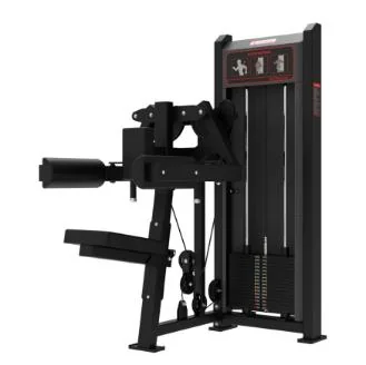 Delt Machine TZ Fitness (Tianzhan) GS-5010