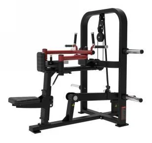 Seated Rear Deltoid TZ Fitness (Tianzhan) MP-8169