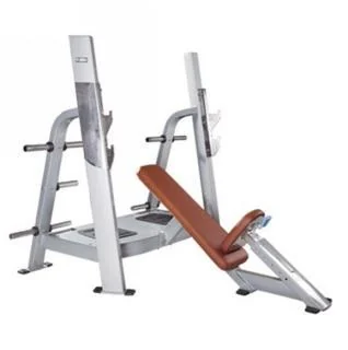 Скамья для жима TZ Fitness (Tianzhan) TZ-5021