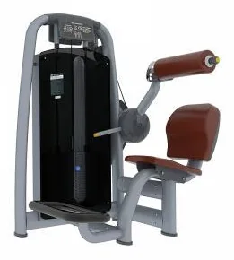 Гиперэкстензия TZ Fitness (Tianzhan) TZ-6006
