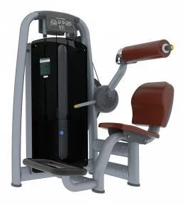 Гиперэкстензия TZ Fitness (Tianzhan) TZ-6006