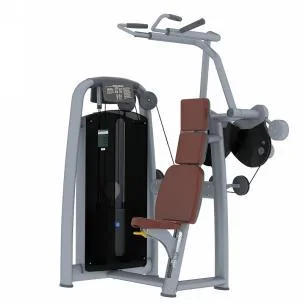 Vertical Traction TZ Fitness (Tianzhan) TZ-6035