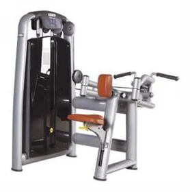 Upper Back TZ Fitness (Tianzhan) TZ-6041