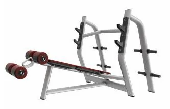 Скамья для жима TZ Fitness (Tianzhan) TZ-6043